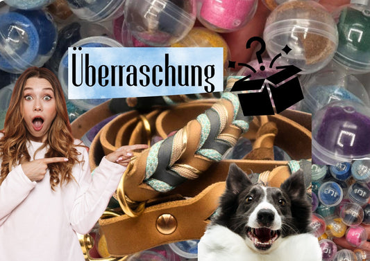 Überraschungs- Halsband