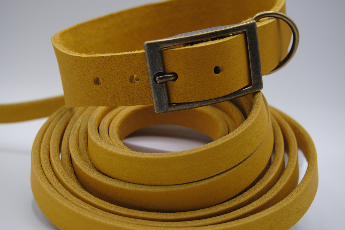 Konfigurierbares Halsband Terra – Lederfarbe individuell wählbar