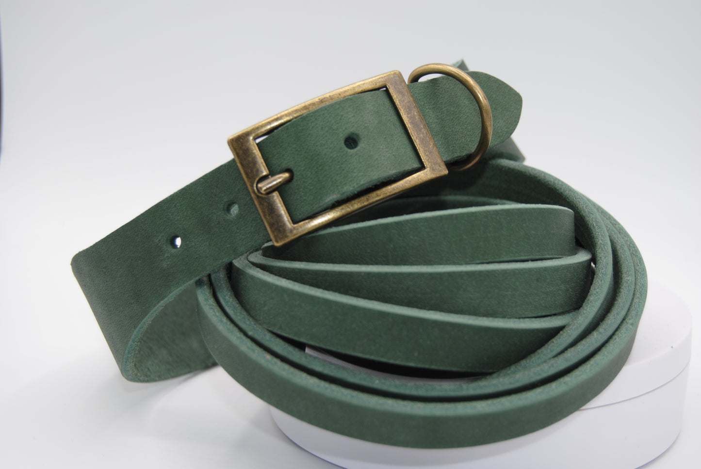 Hund trägt Lederhalsband Terra Waldgrün – natürliches Design für Alltag und Abenteuer