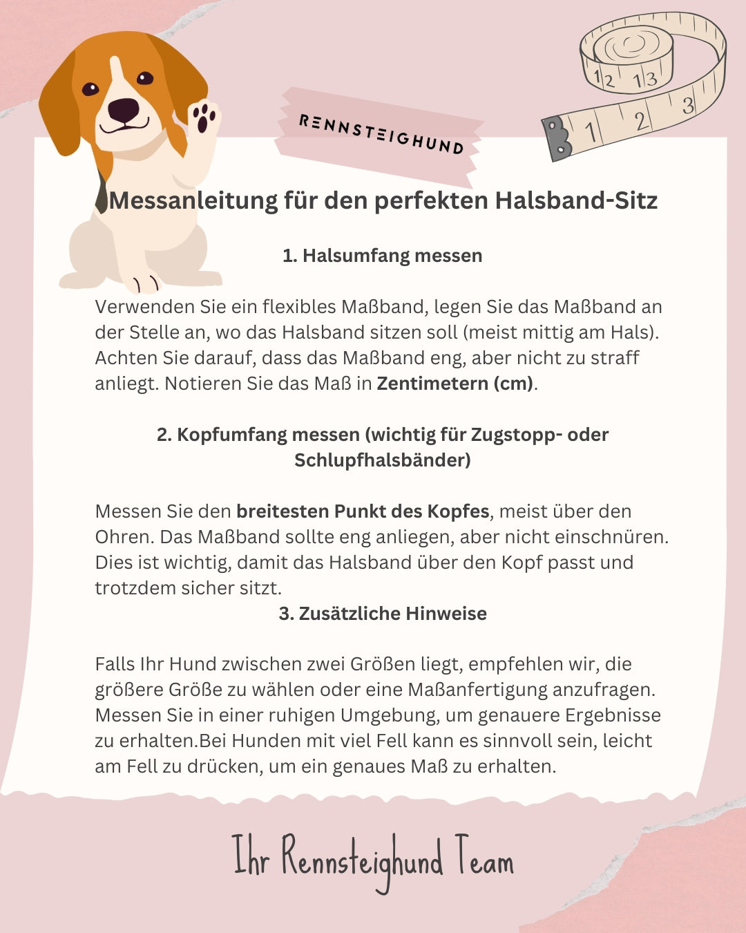 Halsband Konfigurator - Gestalte selbst!