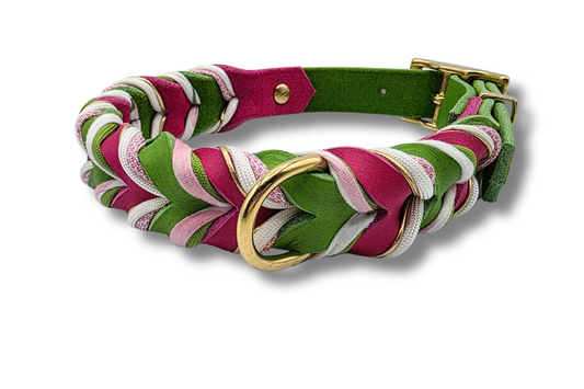 Modell  Tropical Pink Kiwi