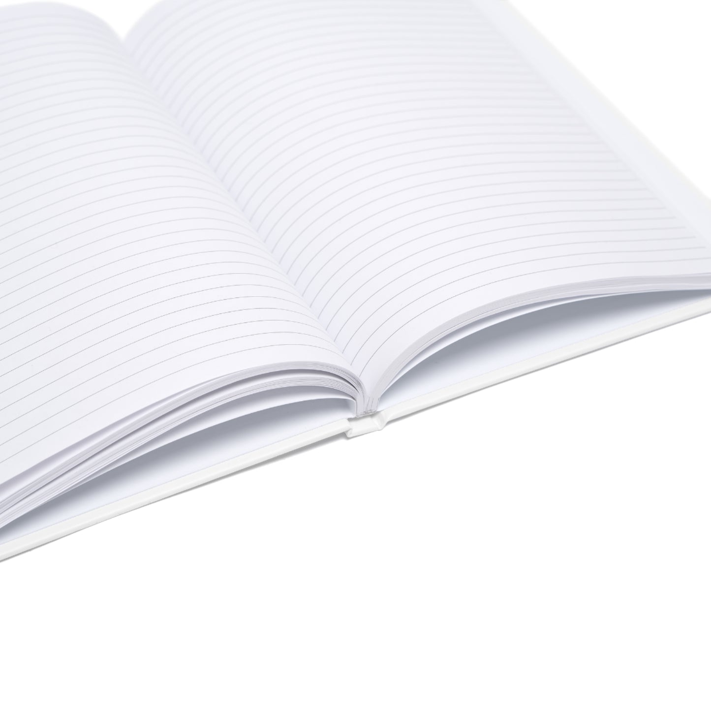 Hardcover A5 Notizbuch für Spaziergänge mit deinem Hund (Zeit für Mensch & Hund)