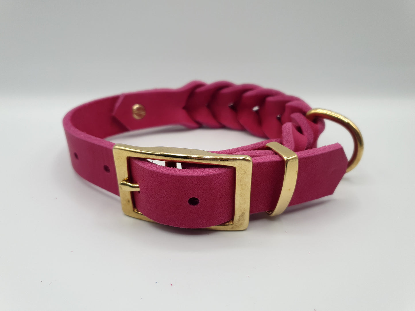 Hund trägt Halsband Waldläufer im Wald – robustes Outdoor-Design aus Leder