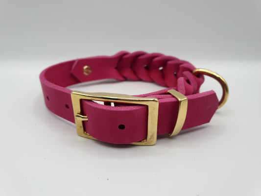 Hund trägt Halsband Waldläufer im Wald – robustes Outdoor-Design aus Leder