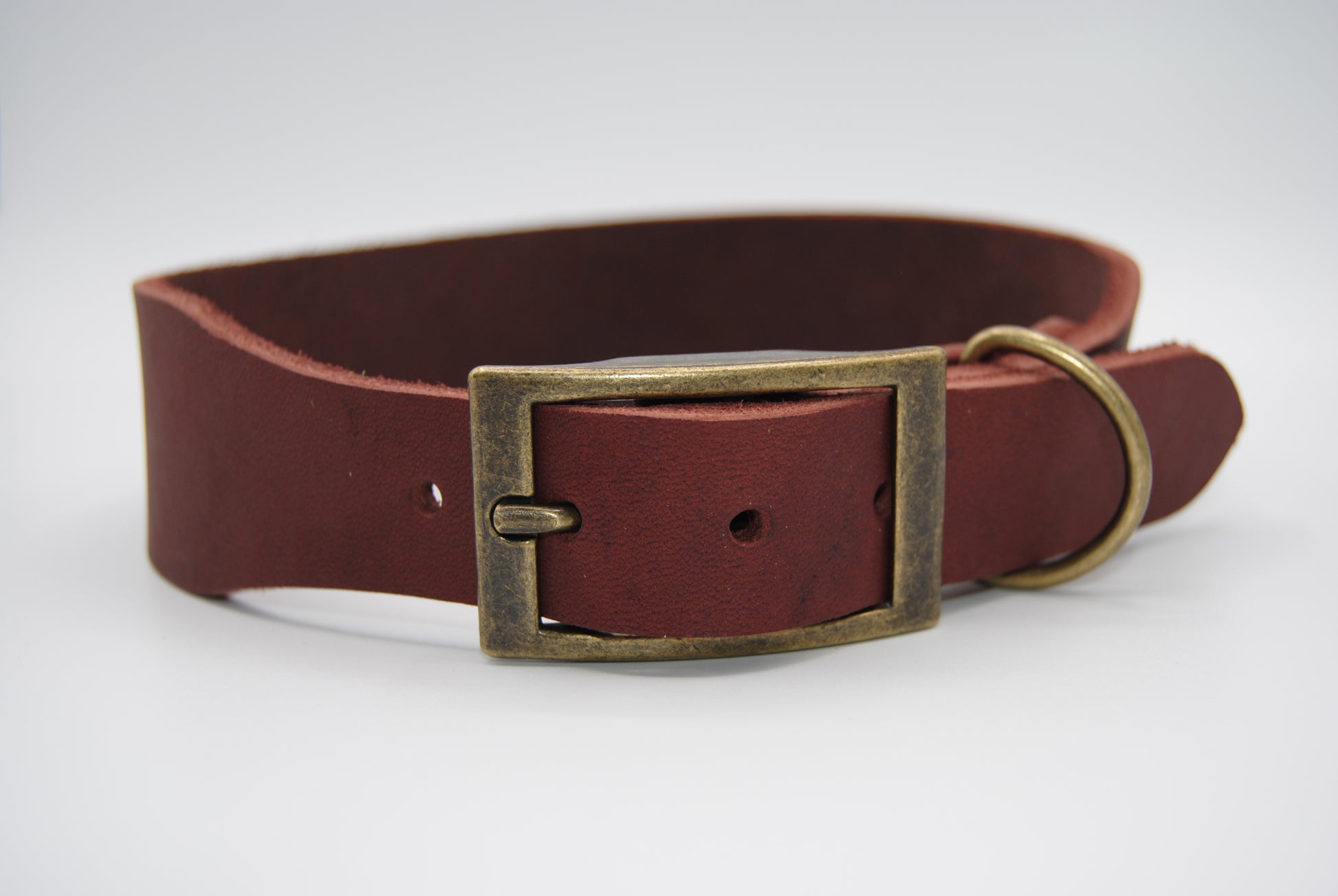 Hund trägt Lederhalsband Terra – natürliches Design für Alltag und Abenteuer