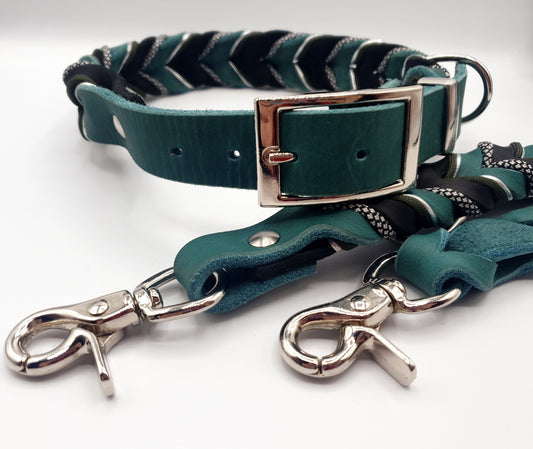 Hundehalsband Modell Odin aus schwarzem Leder mit silberner Schnalle